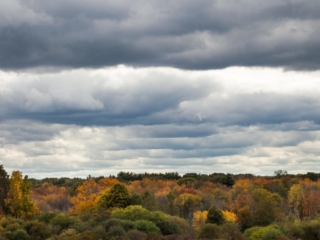 10-8-2012-13 Heavy skies over fall foliage at Mary Cummings Park