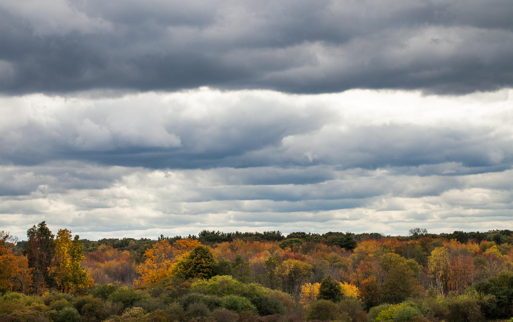 Heavy skies over fall foliage at Mary Cummings Park