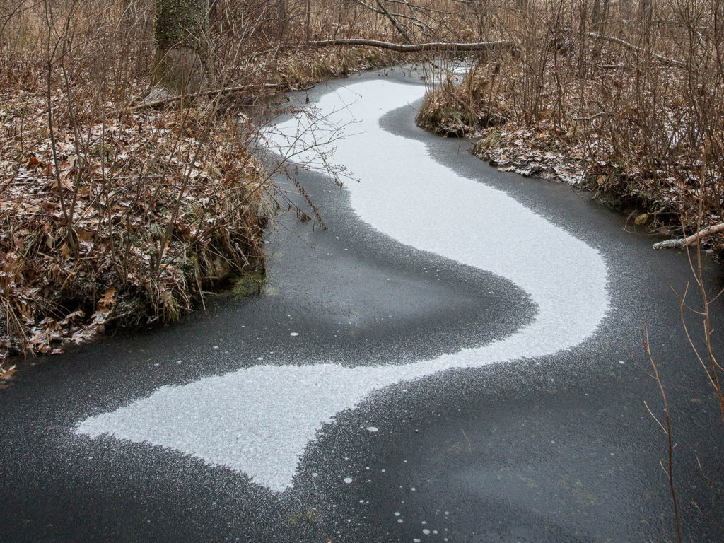 snow on ice covered stream in the shape of a mermaid, at Mary Cummings Park