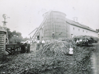 Farm scene at Cummings Farm