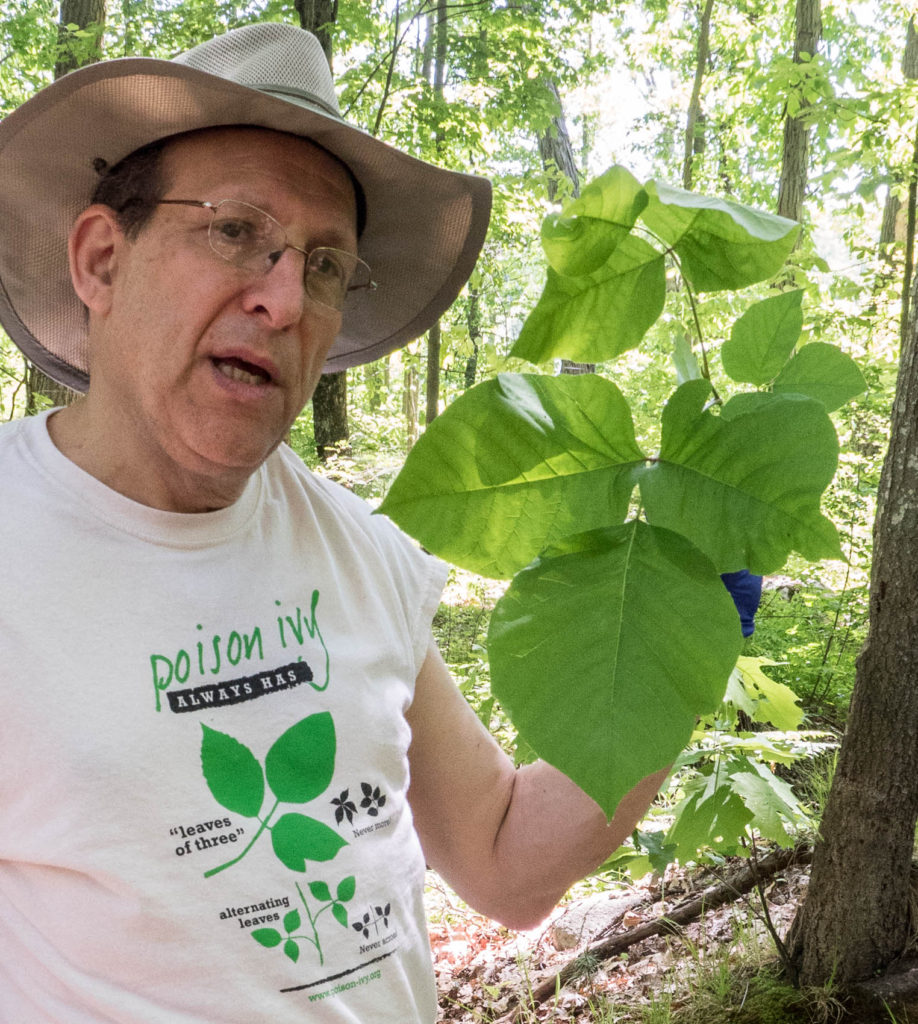 man with very large poison ivy leaf