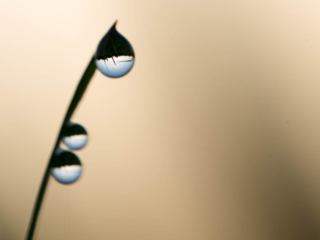 Droplets forming lenses with image of horizon. Droplets forming lenses with image of horizon.