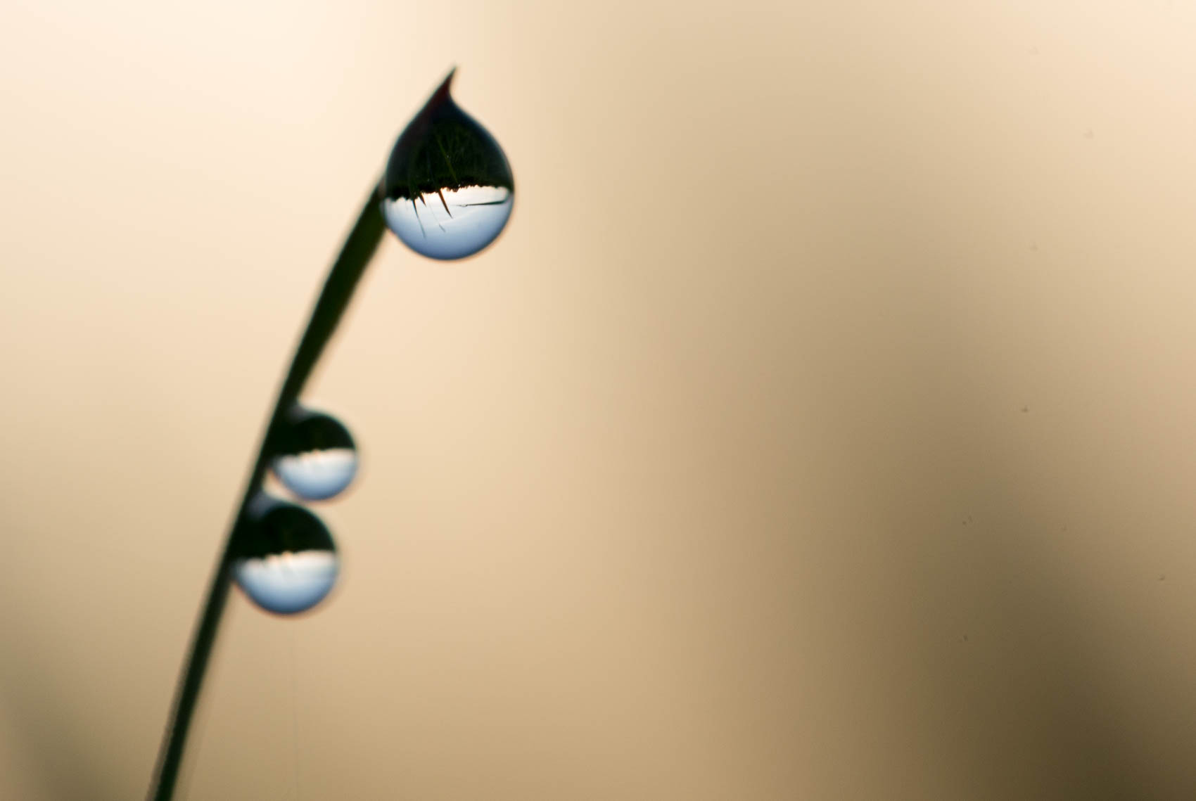 Droplets forming lenses with image of horizon.