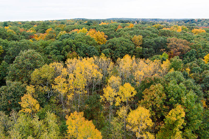 aerial view of park in fall