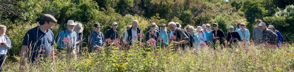 Sept 2nd Wildflower Walk with Ted Ellman