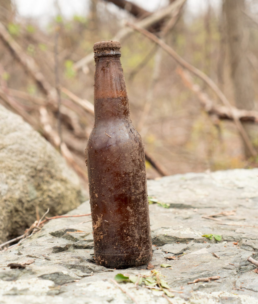 semi-antique beer bottle found at Mary Cummings Park