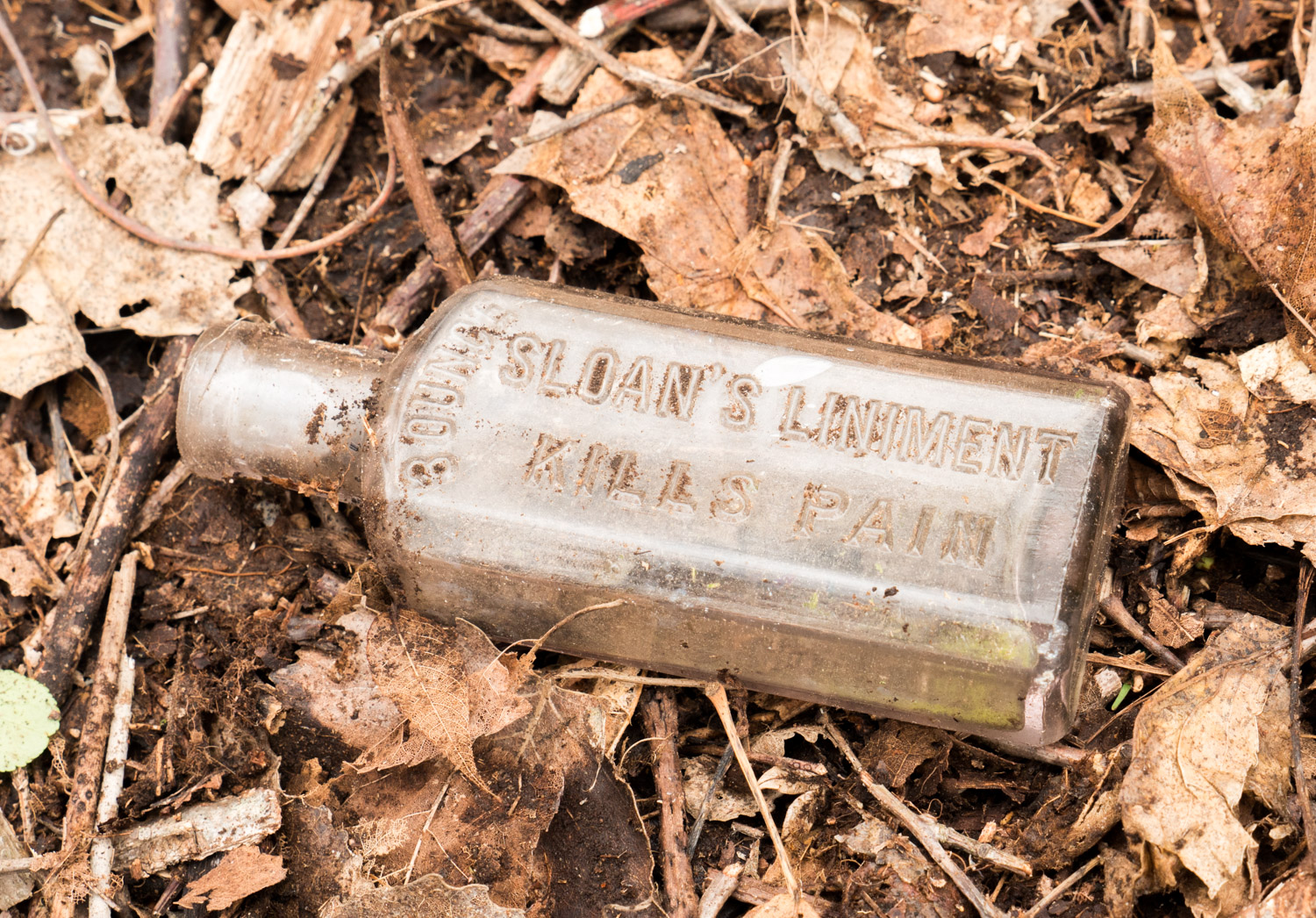 Antique bottle found at Mary Cummings Park