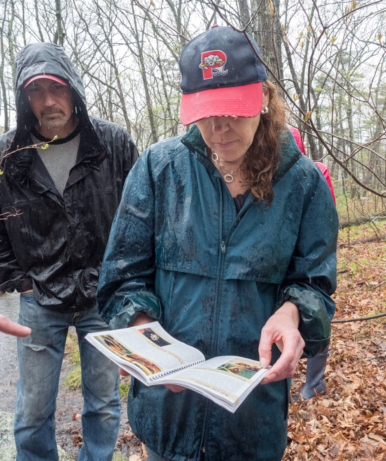 Checking the vernal pool booklet, in the rain, at Mary Cummings Park