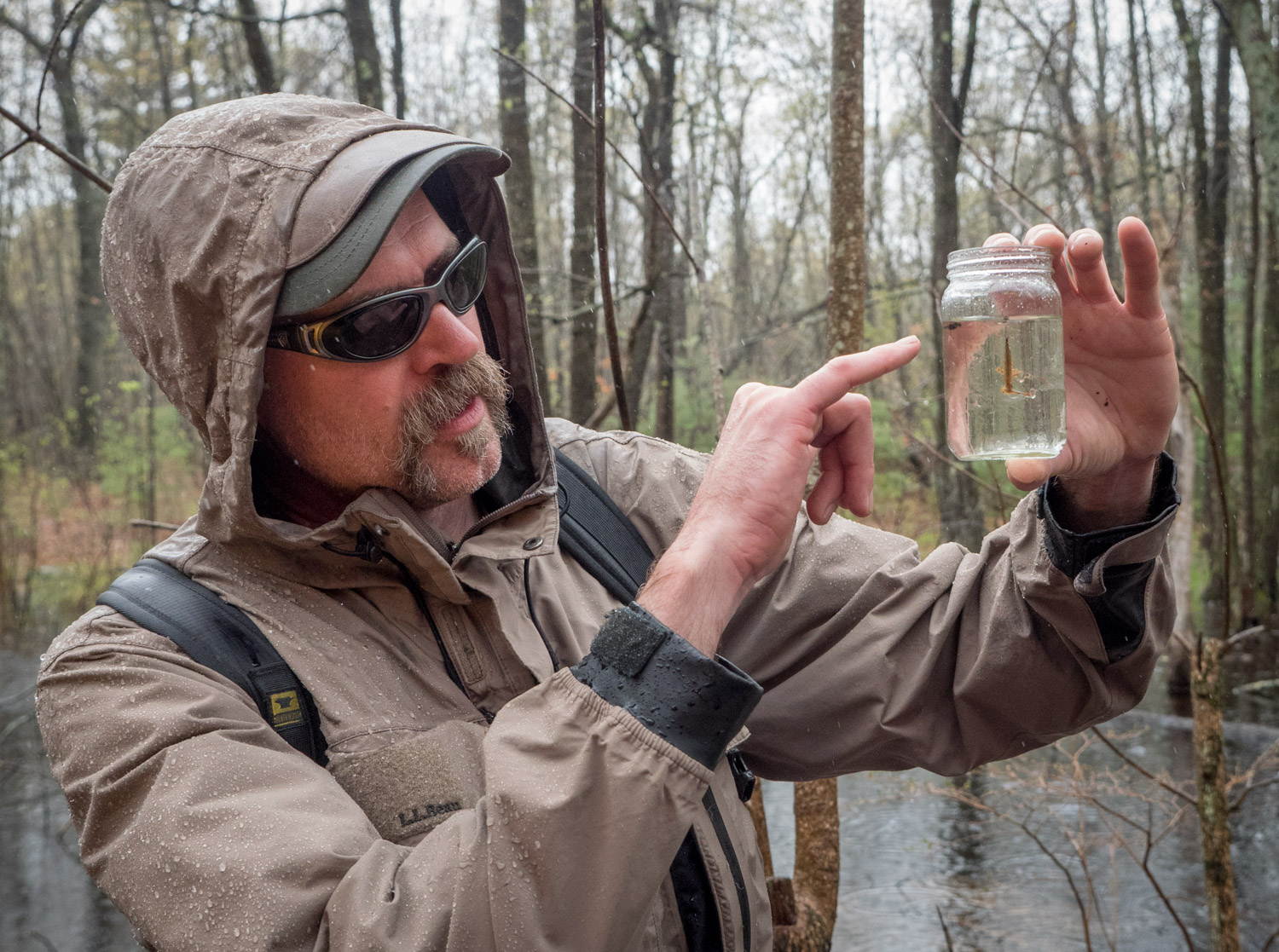 Matt Burne finds life in a vernal pool at Mary Cummings Park