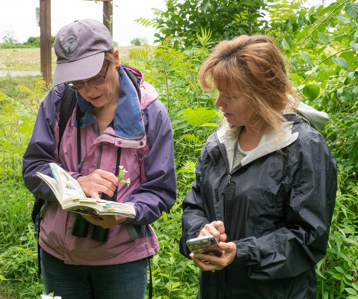 Andrea points out that a book can be very helpful for certain species, but keep in mind that iNaturalist does ID for plants, insects, and animals, so you might need more than one book.