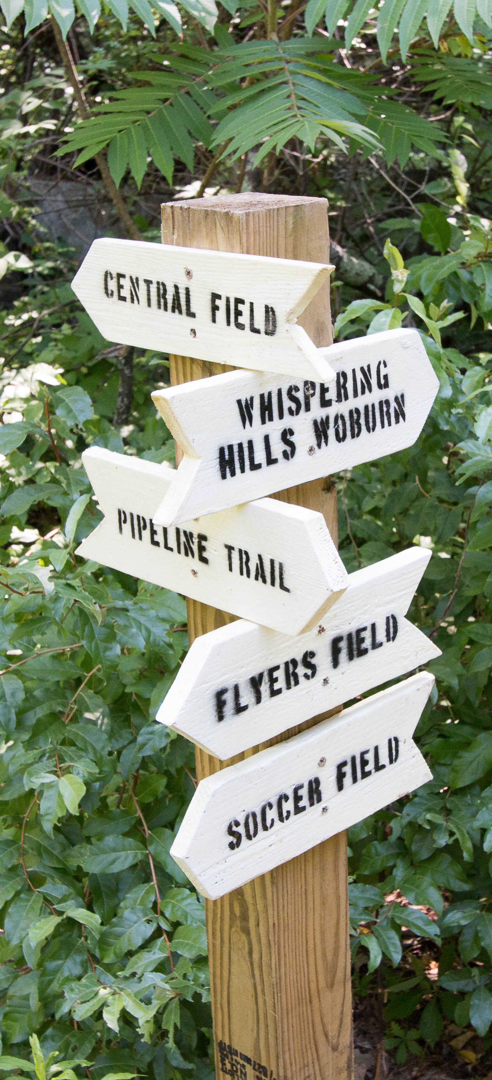 Mary Cummings trail sign